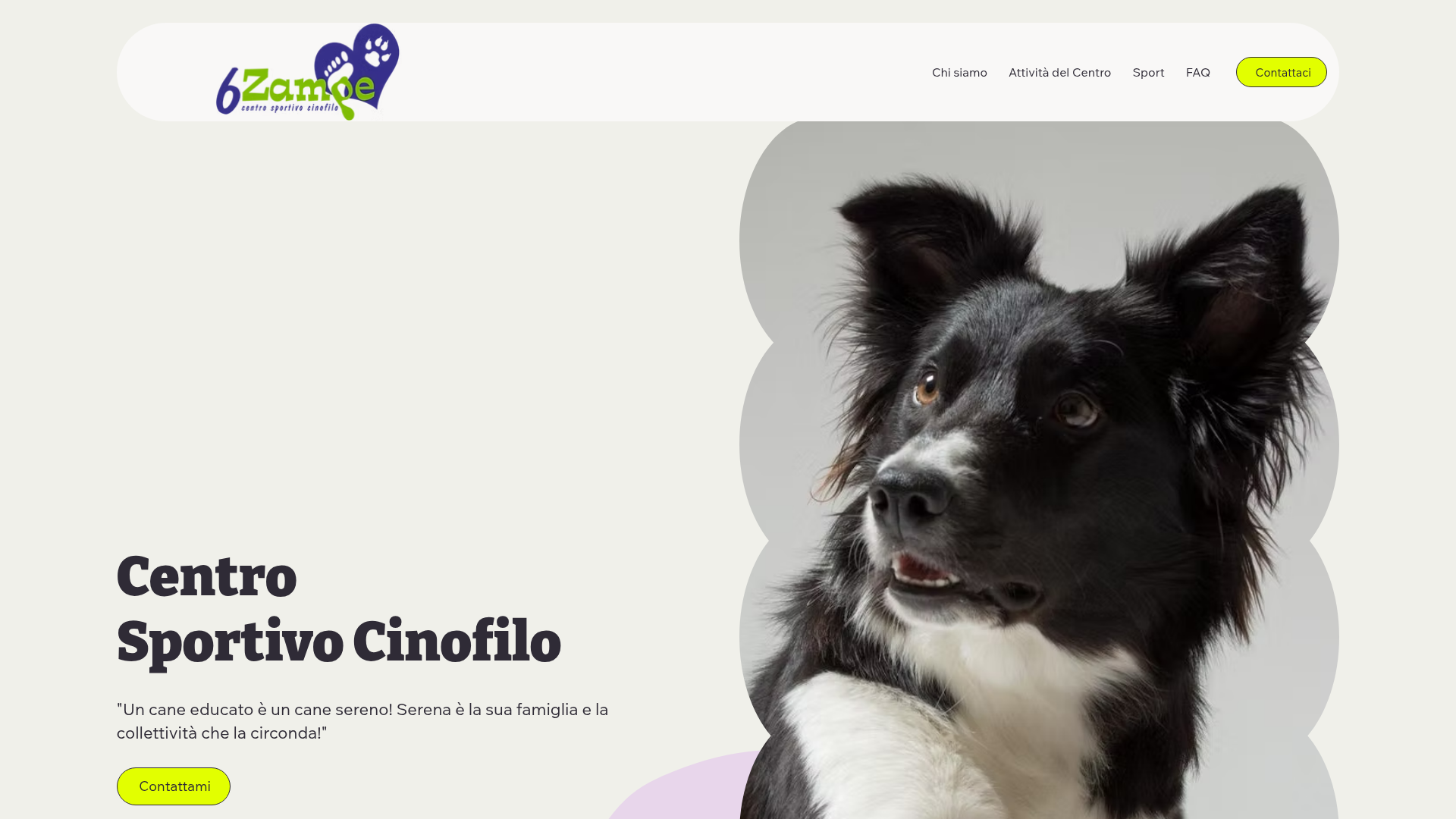 Anteprima Centro Cinofilo 6 Zampe
